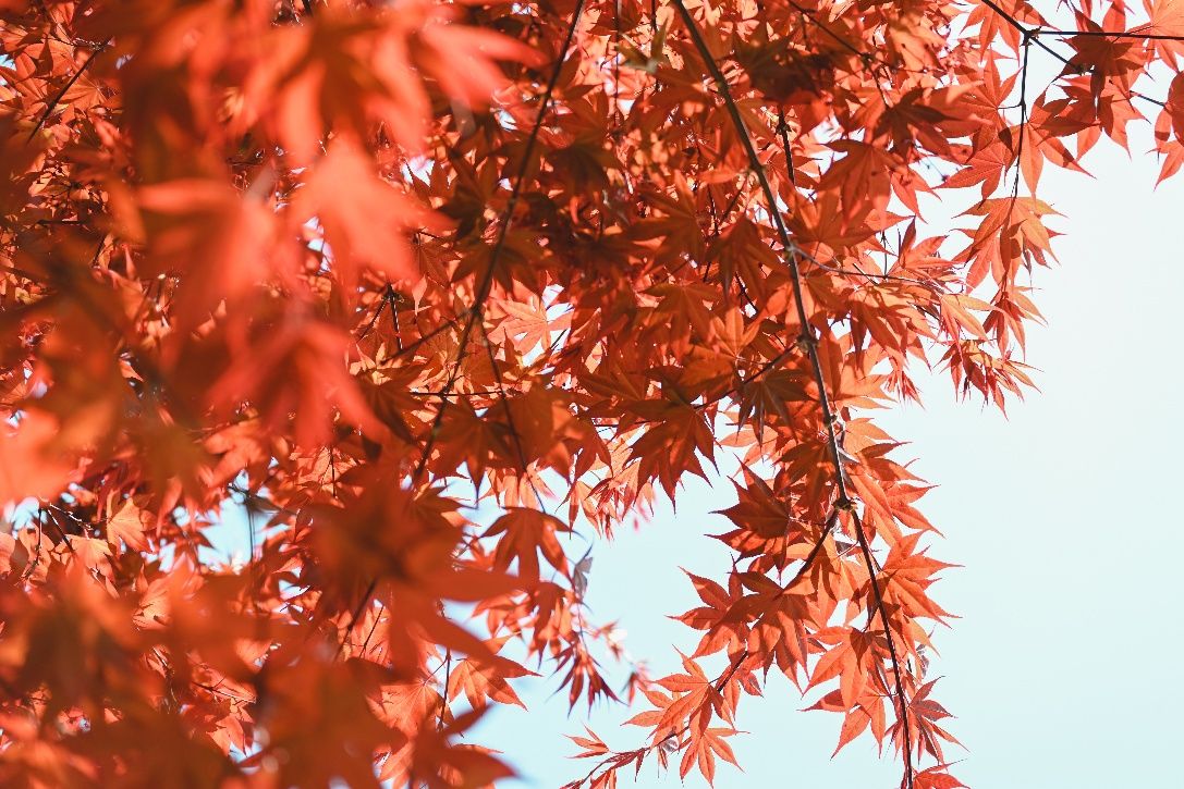 20261023331723485294.png 图片3.png